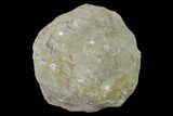 Keokuk Calcite Geode with Iridescent Chalcopyrite - Missouri #144727-1